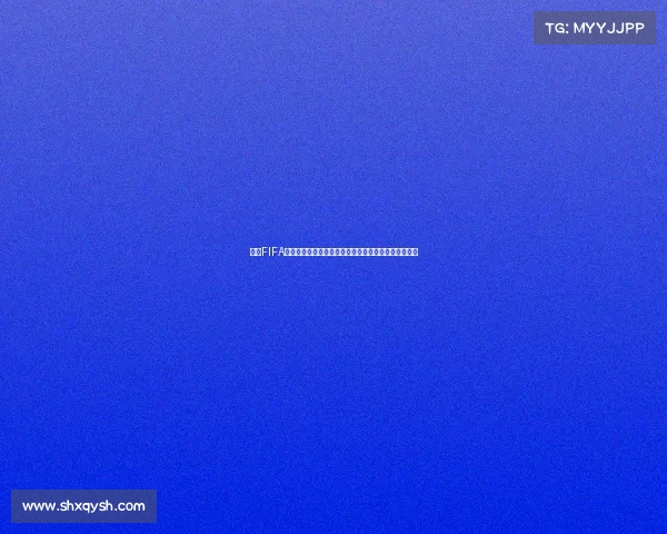 围绕FIFA世界杯官方周边与球迷收藏物品的全景探索指南专题版